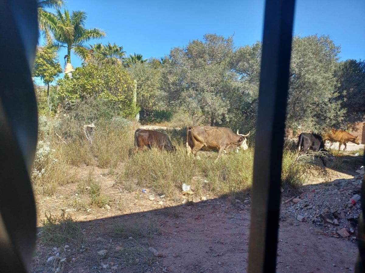 Hacienda Gallardos 104-3 San Carlos Nuevo Guaymas 외부 사진